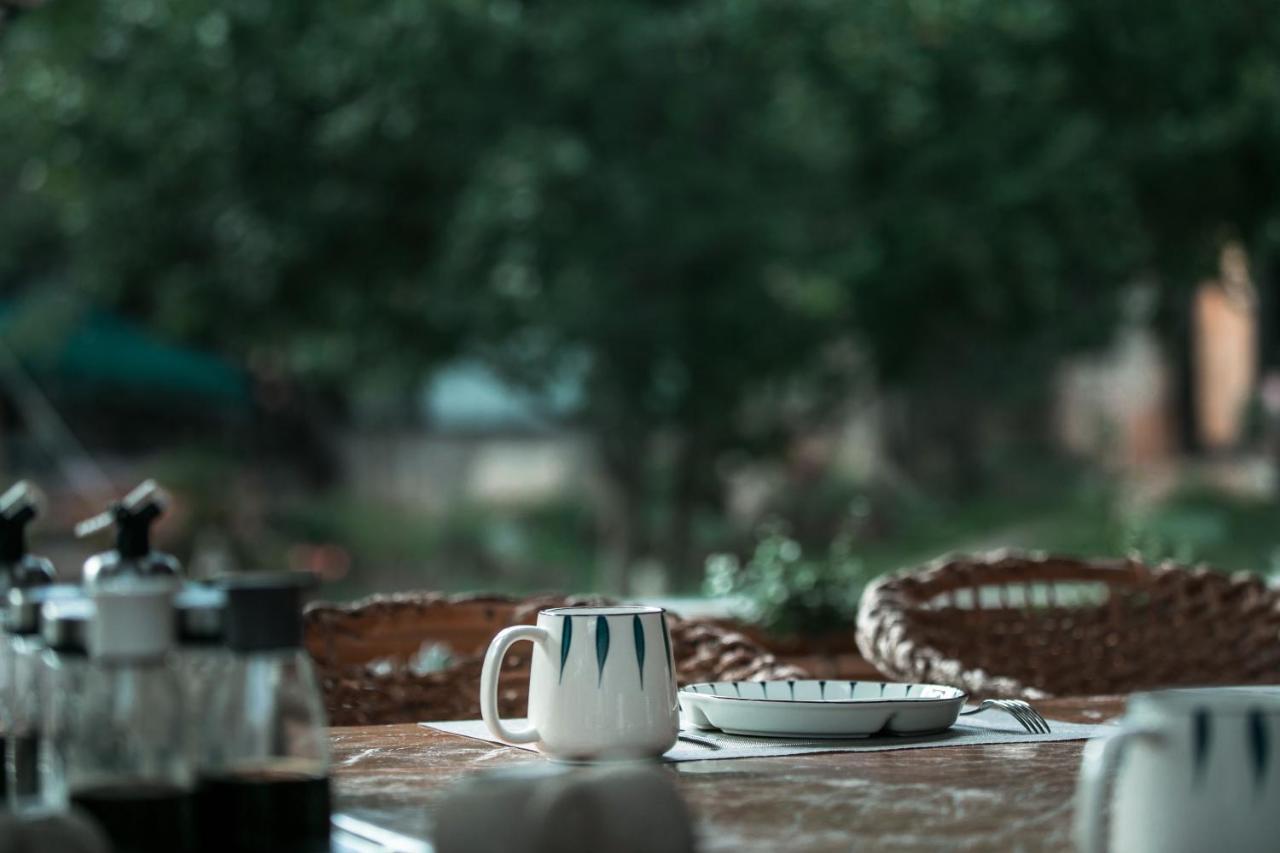 Adonis Inn Lijiang ليجيانغ المظهر الخارجي الصورة