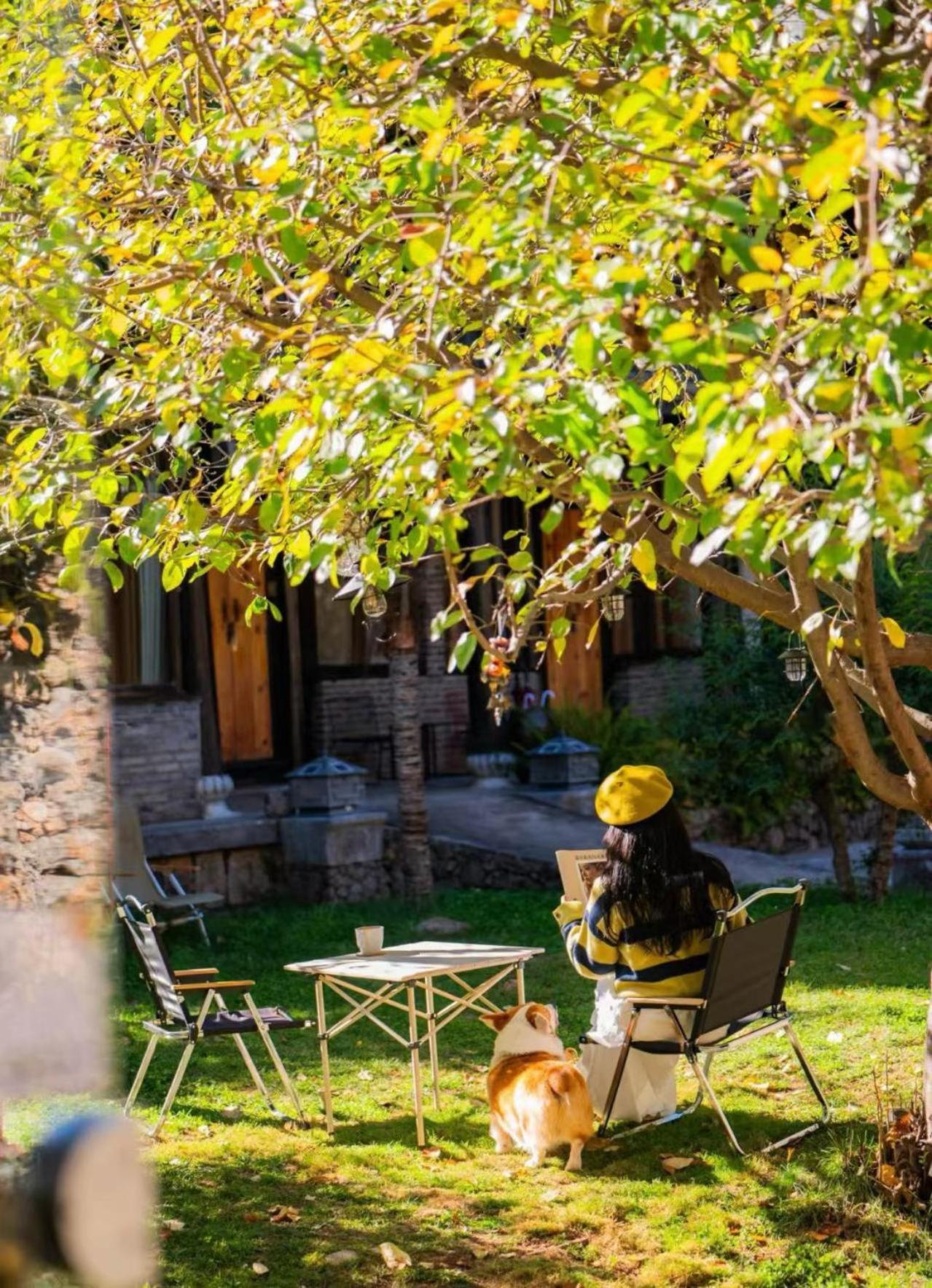 Adonis Inn Lijiang ليجيانغ المظهر الخارجي الصورة